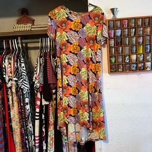Small LulaRoe Carly